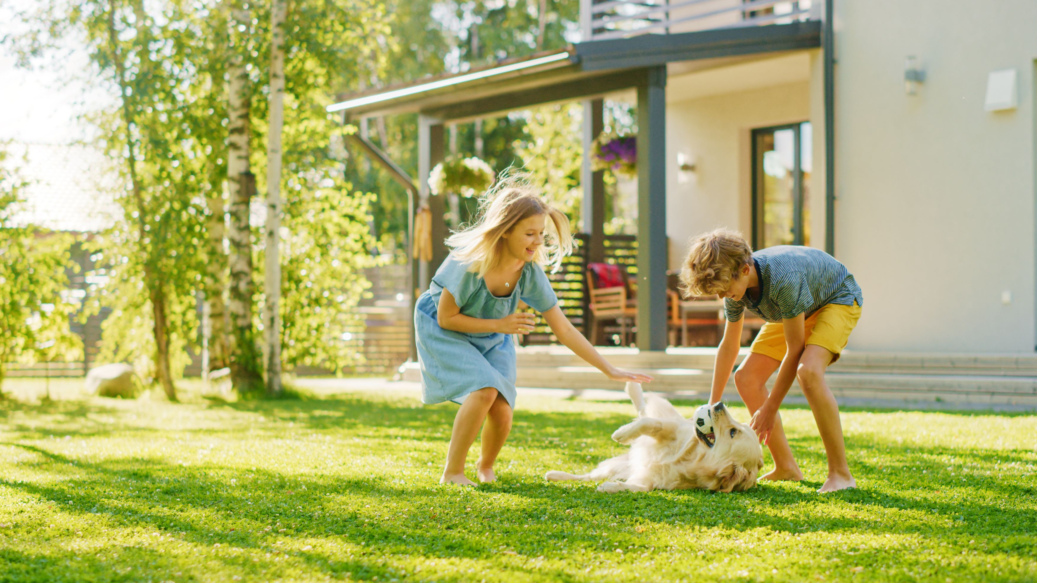 Will Landscaping Increase Home Value?