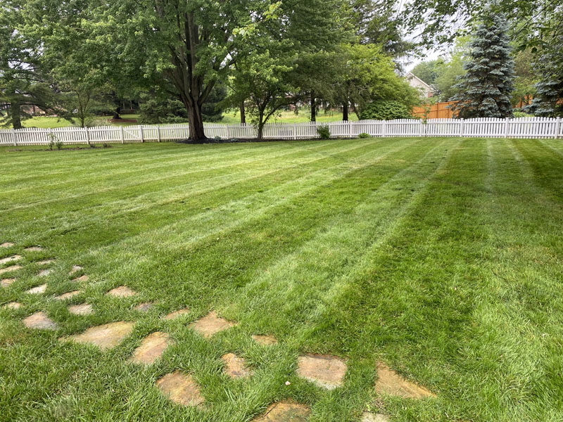 Yard Cutting Services in Carmel IN