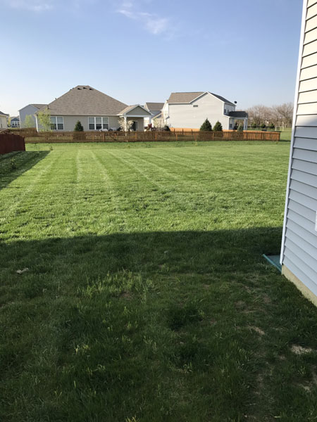 Professional landscaping services in Carmel IN