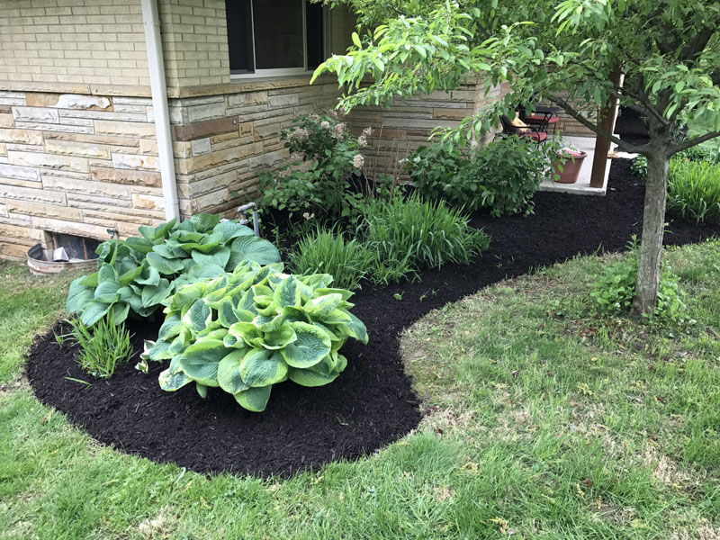 Rooted Lawn & Landscape mulch bed installations and maintenance services in Meridian Hills