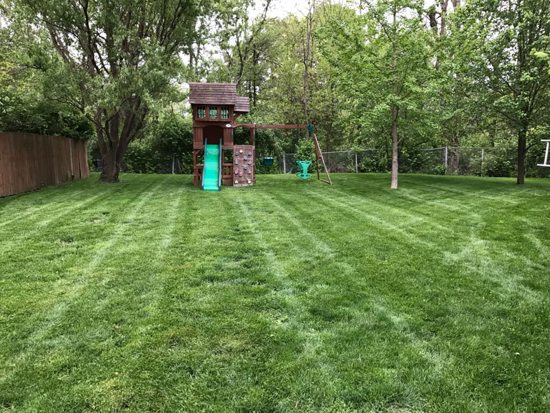 Residential Lawn Care Services in Carmel IN