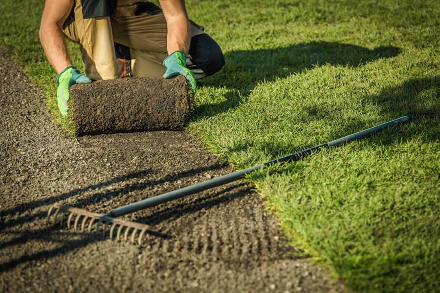 Rooted Lawn & Landscape offers lawn installation services in Carmel, IN