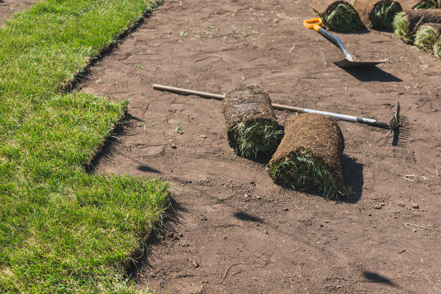 Rooted Lawn & Landscape provides lawn installation services in Carmel, IN