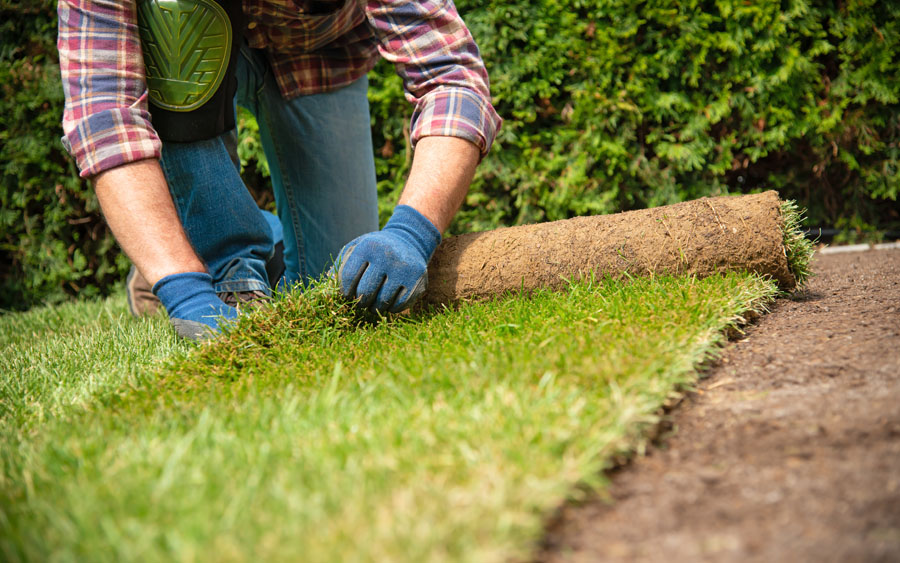 What Is Sod Installation?