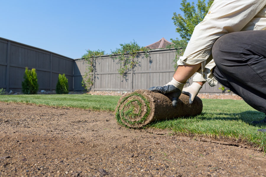 Lawn installation services in Carmel, IN
