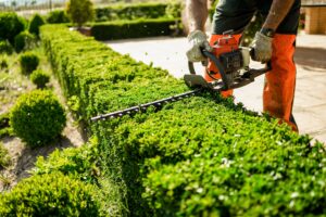Landscape Maintenance Carmel Indiana
