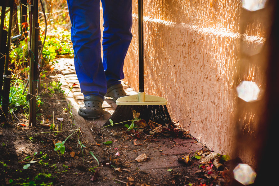 Why August is the Perfect Time to Start Planning Your Fall Cleanup