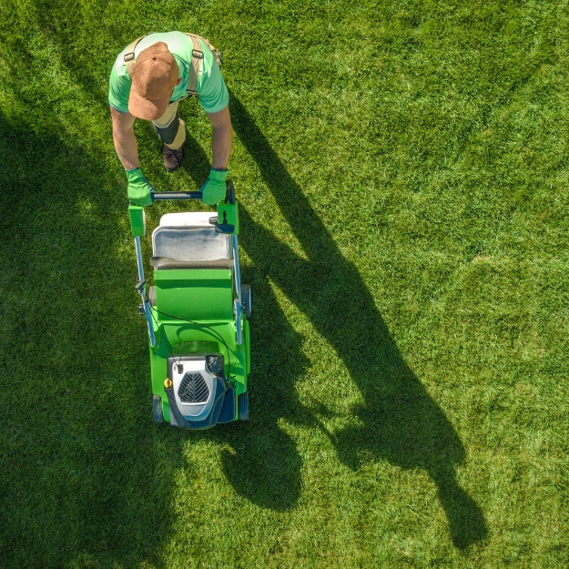 Professional Landscaping vs. DIY: What Homeowners Should Know This Season