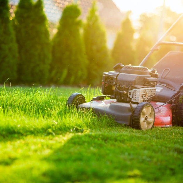 How Often Should You Mow Your Lawn in Carmel, IN