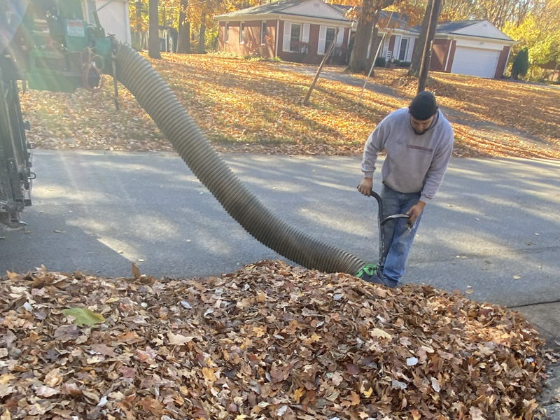Leaf removal process from Rooted Lawn & Landscape in Carmel, IN