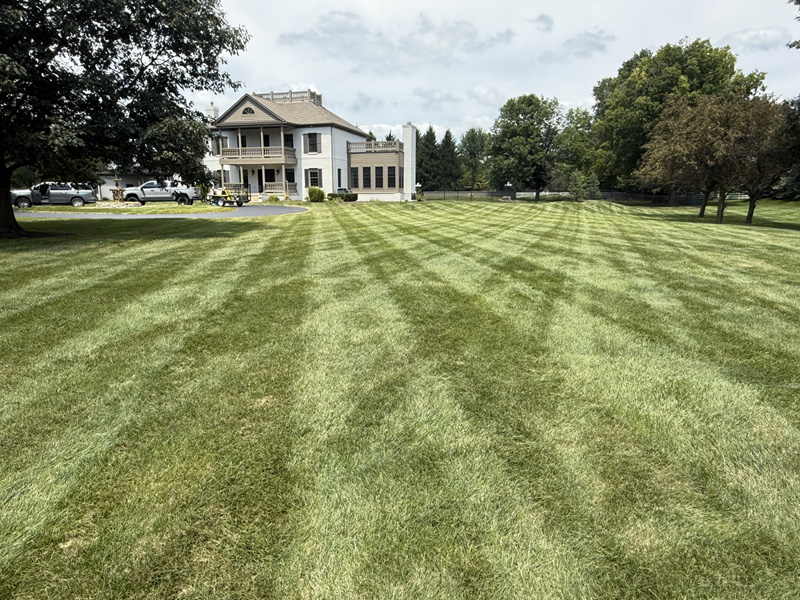 Yard Cutting Services in Carmel IN