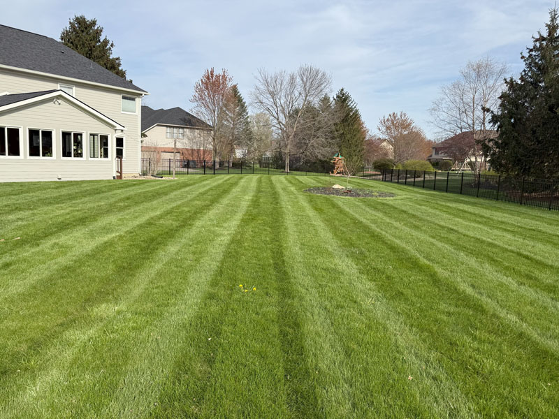 Residential Lawn Care Services in Carmel IN