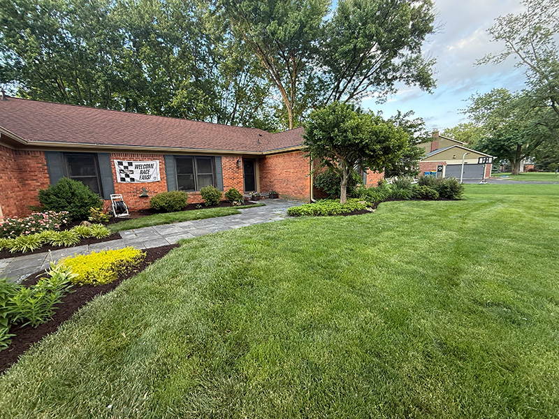 Rooted Lawn & Landscape lawn care process